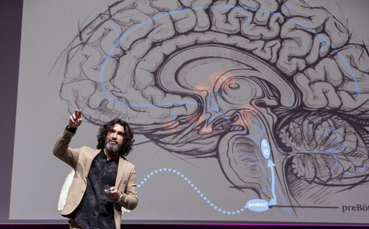 Gustavo G. Díez explica en un escenario, delante de un corte del cerebro proyectado.